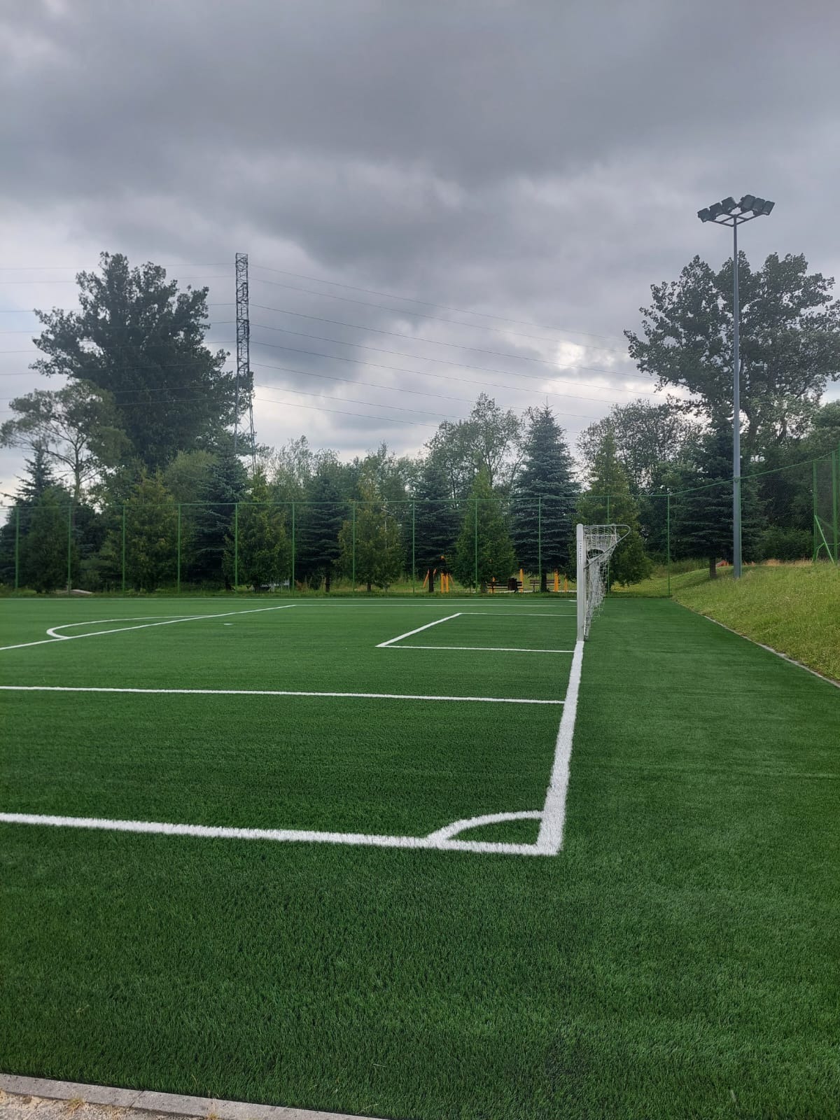 Boisko sportowe z zieloną sztuczną nawierzchnią, widoczne linie wyznaczające pole gry, siatka bramki w prawym górnym rogu, w tle drzewa i słup oświetleniowy, pochmurne niebo.