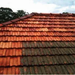 Częściowo oczyszczony dach z czerwonej dachówki, widoczna różnica pomiędzy czystą a zabrudzoną powierzchnią, na tle drzew i pochmurnego nieba.