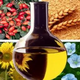 Kolorowa kompozycja: szklana karafka z olejem na tle róży, słonecznika, lnu i ziaren zbóż.