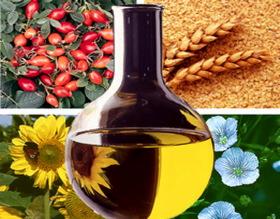 Kolorowa kompozycja: szklana karafka z olejem na tle róży, słonecznika, lnu i ziaren zbóż.