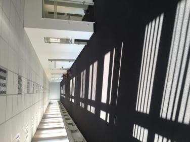 Ponitka Paweł - Usługi Ostrzeszów