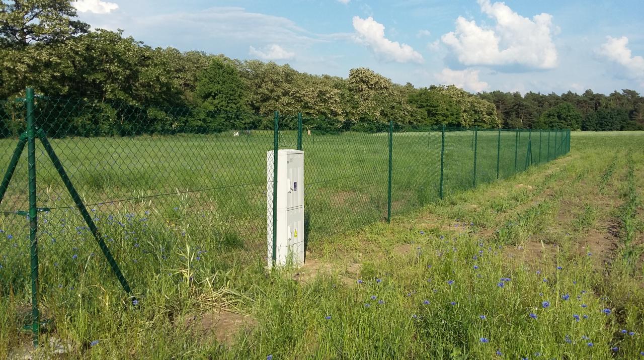 Długie ogrodzenie z siatki, zielone słupki, widoczna skrzynka elektryczna przy ogrodzeniu, łąka z chabrami w tle las.