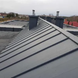 Szary dach z blachy trapezowej z widocznymi kroplami deszczu, kominy w kolorze dachu i otoczenie zabudowy jednorodzinnej pod pochmurnym niebem.