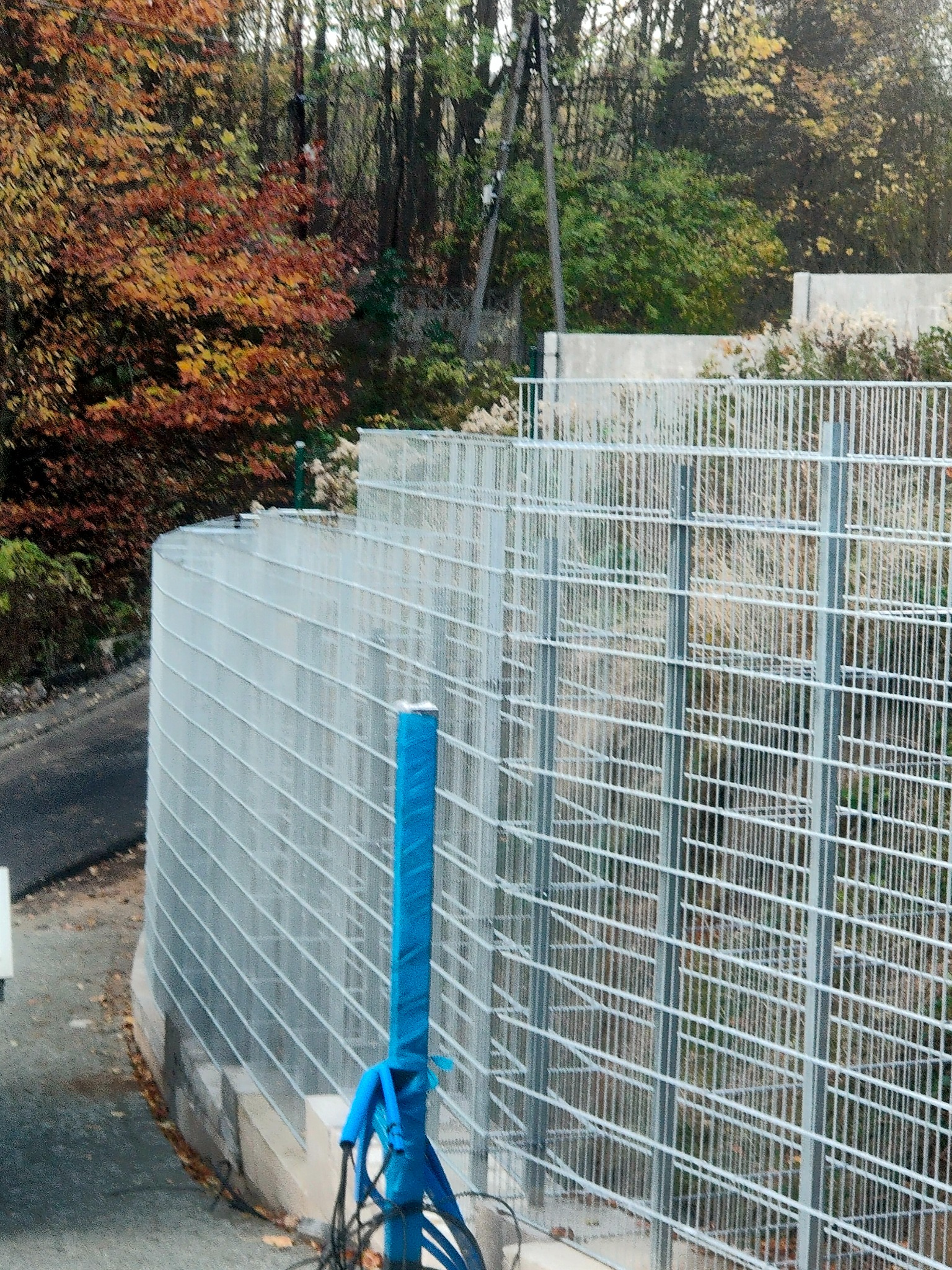 Metalowe ogrodzenie panelowe na betonowym fundamencie, z niebieskim ochraniaczem na słupku, w tle drzewa z jesiennymi liśćmi.