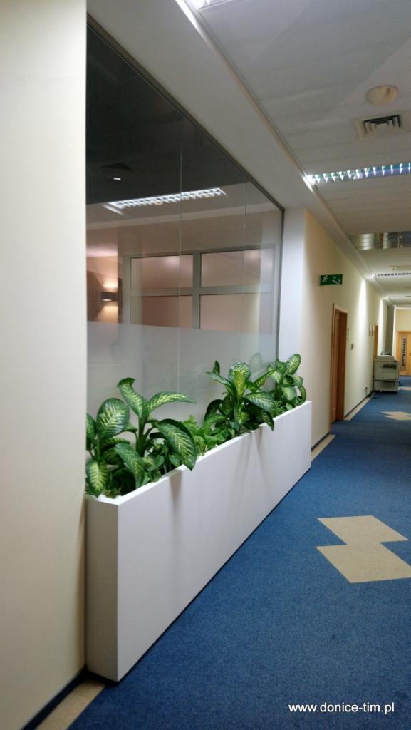 Długa, biała donica z zielonymi roślinami wzdłuż przeszklonej ściany w biurowym korytarzu z niebieską wykładziną i fluorescencyjnym oświetleniem.