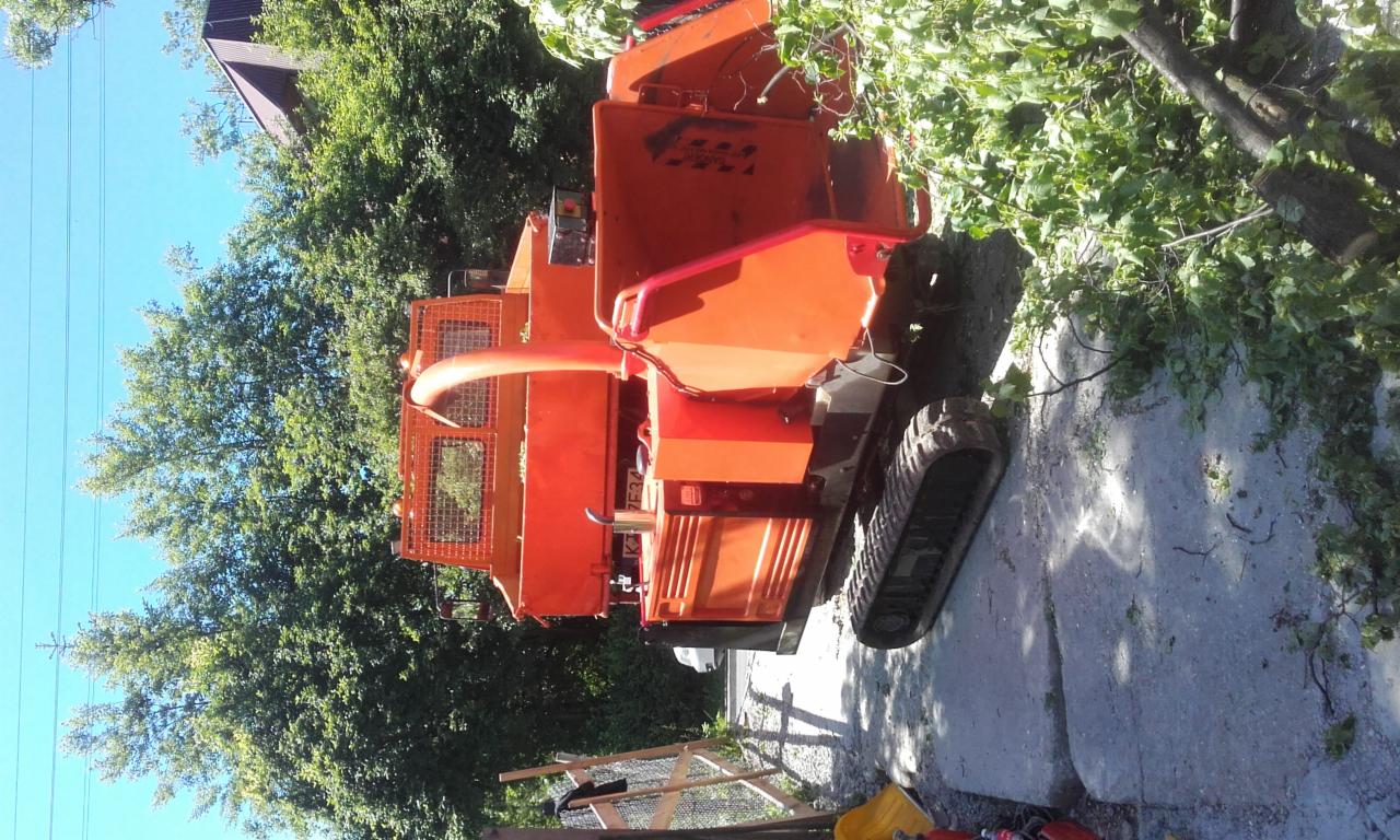 Pomarańczowy rębak do gałęzi na gąsienicach, z gałęziami w otworze wrzutowym, częściowo widoczny fragment drzewa i niebieskie niebo w tle.