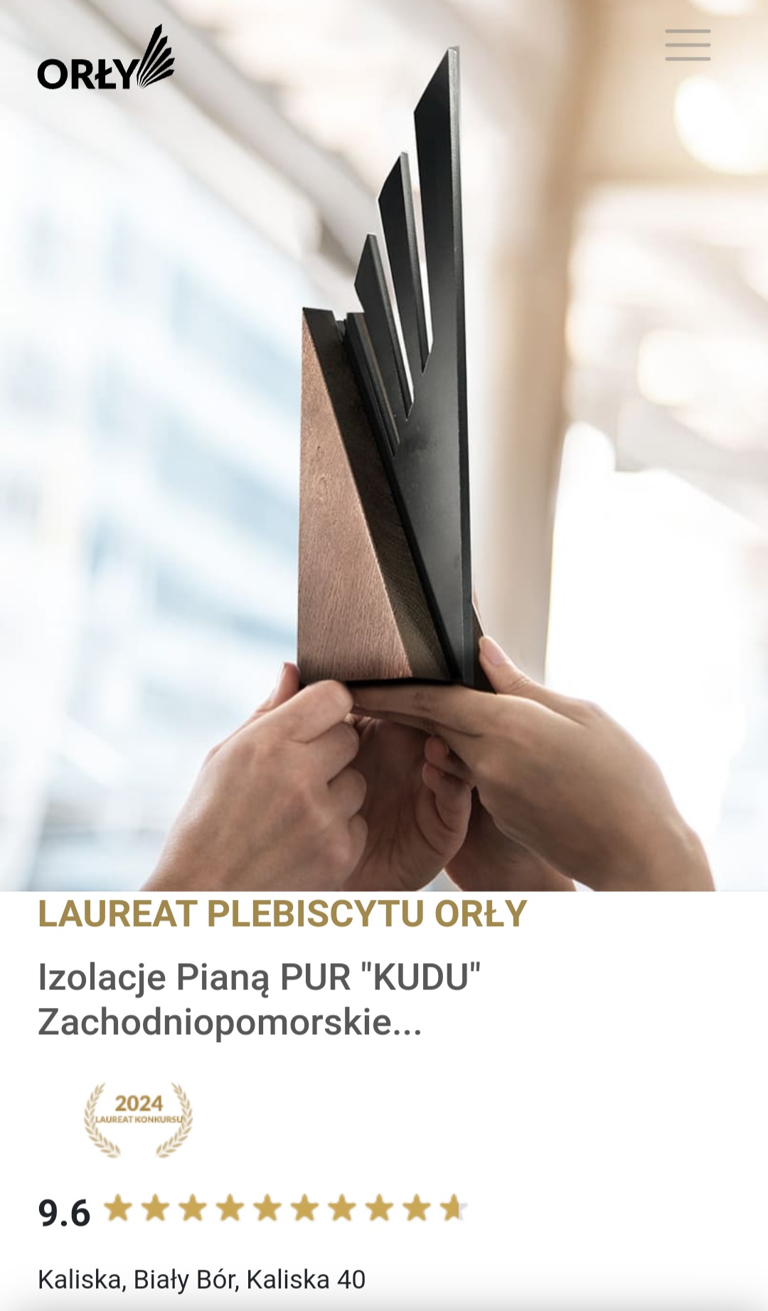 Nagroda 'Orły' za izolacje pianą PUR 'KUDU' Zachodniopomorskie, trzymana w dłoniach, widoczny fragment drewnianej podstawy i czarnej, stylizowanej formy.