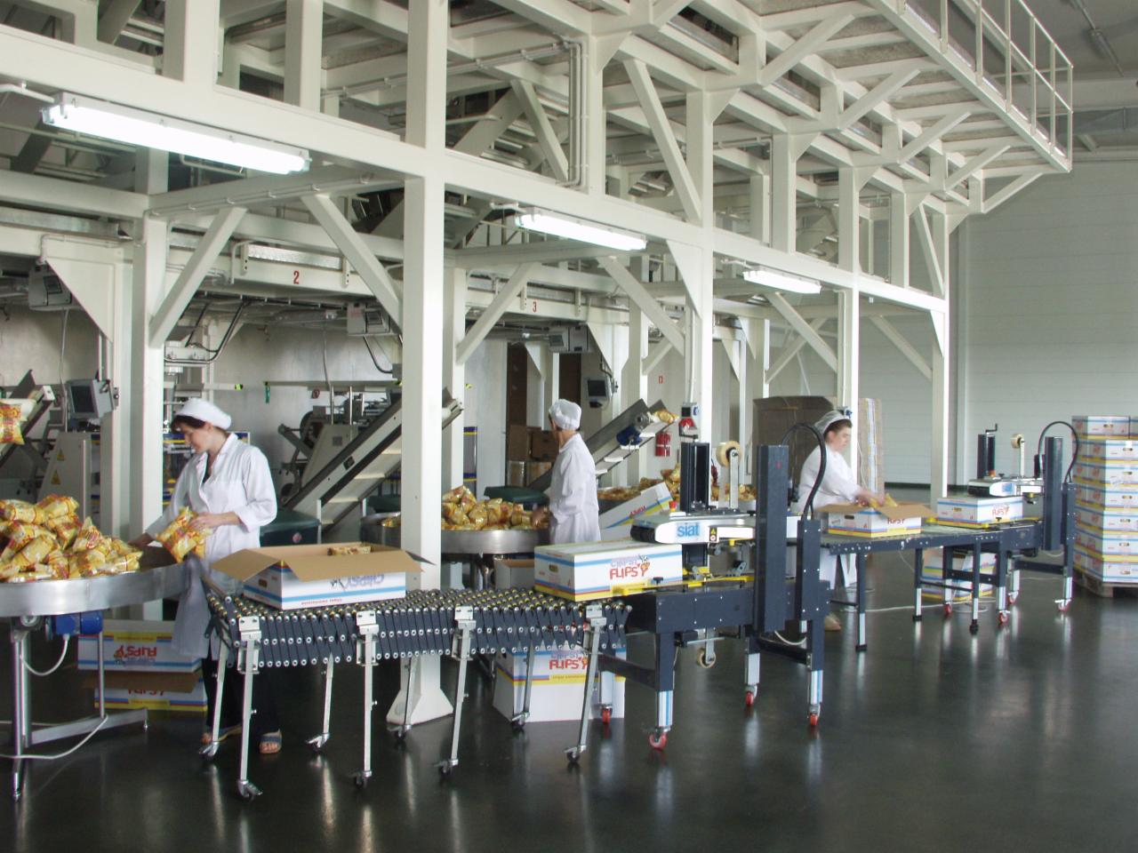 Wnętrze hali produkcyjnej z pracownikami w białych fartuchach pakującymi chipsy do kartonów przy użyciu linii produkcyjnej z taśmociągami i maszynami pakującymi.
