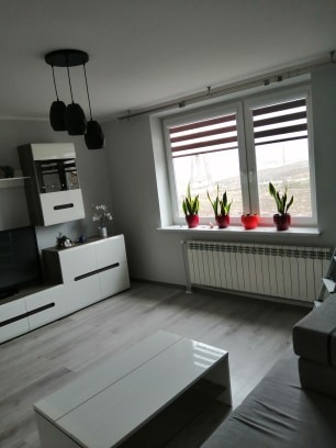 Jasne wnętrze pokoju z nowoczesnymi meblami w odcieniach bieli i szarości, z widocznym sufitem z zamontowanym oświetleniem punktowym i oknem z żaluzjami.