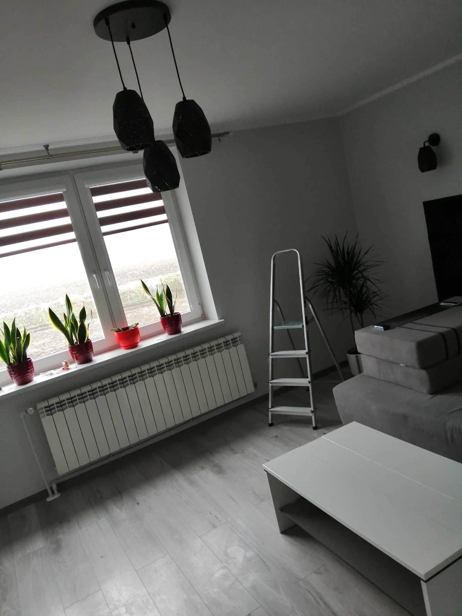 Nowoczesny salon z czarną lampą wiszącą, roślinami w doniczkach na parapecie, aluminiową drabiną opartą o ścianę i szarą sofą.