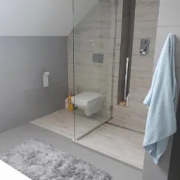 Nowoczesna łazienka w szarościach z kabiną prysznicową typu walk-in, podwieszaną toaletą i puszystym dywanikiem, oświetlona naturalnym światłem z okna dachowego.