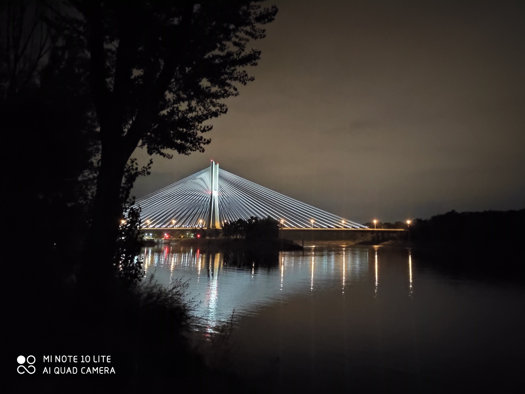 Nocny widok na oświetlony most wantowy odbijający się w wodzie, z sylwetką drzewa po lewej stronie.