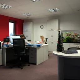 Jasne biuro z pracownikami przy biurkach, akwarium z roślinami i dekoracyjną choinką na stole.