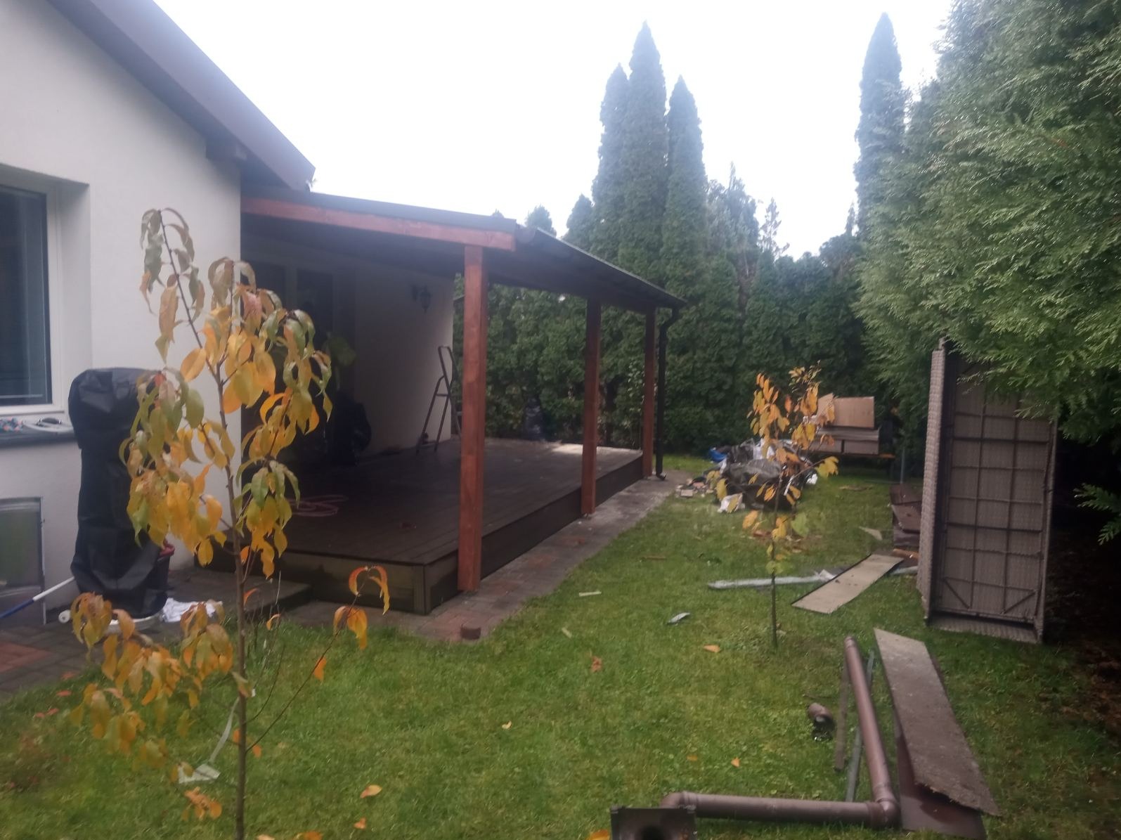 Zadaszony taras z drewnianą podłogą i brązowymi słupami, widok z ogrodu. W tle wysokie tuje i fragment domu. Na pierwszym planie drzewko z żółtymi liśćmi.