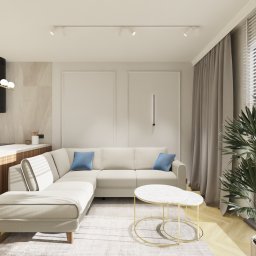 PROHOME STUDIO - Jasny salon w Krakowie z narożnikiem, dywanem i stolikami kawowymi. Minimalistyczne oświetlenie punktowe i roślina doniczkowa dodają przytulności.