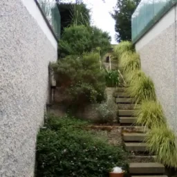 Betonowe schody zewnętrzne z roślinnością pnącą się po bokach, prowadzące w górę między dwoma budynkami z oknami i szklanymi balustradami na dachu.