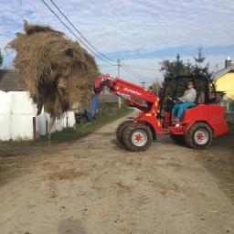 Ar chmielewski Obrazów 2