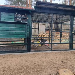 Malowanie mieszkań Kuligów 1