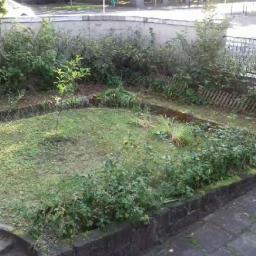 Wycinka drzew Szczecin 3