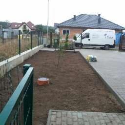 Wycinka drzew Szczecin 4