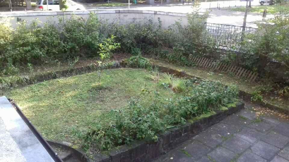 Nieduży, zaniedbany trawnik otoczony kamiennym obramowaniem i bujną roślinnością, z młodym drzewkiem pośrodku, widziany z góry.