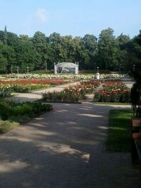 Widok na park z alejkami, rabatami róż i modernistyczną konstrukcją w tle, oświetlony porannym słońcem.