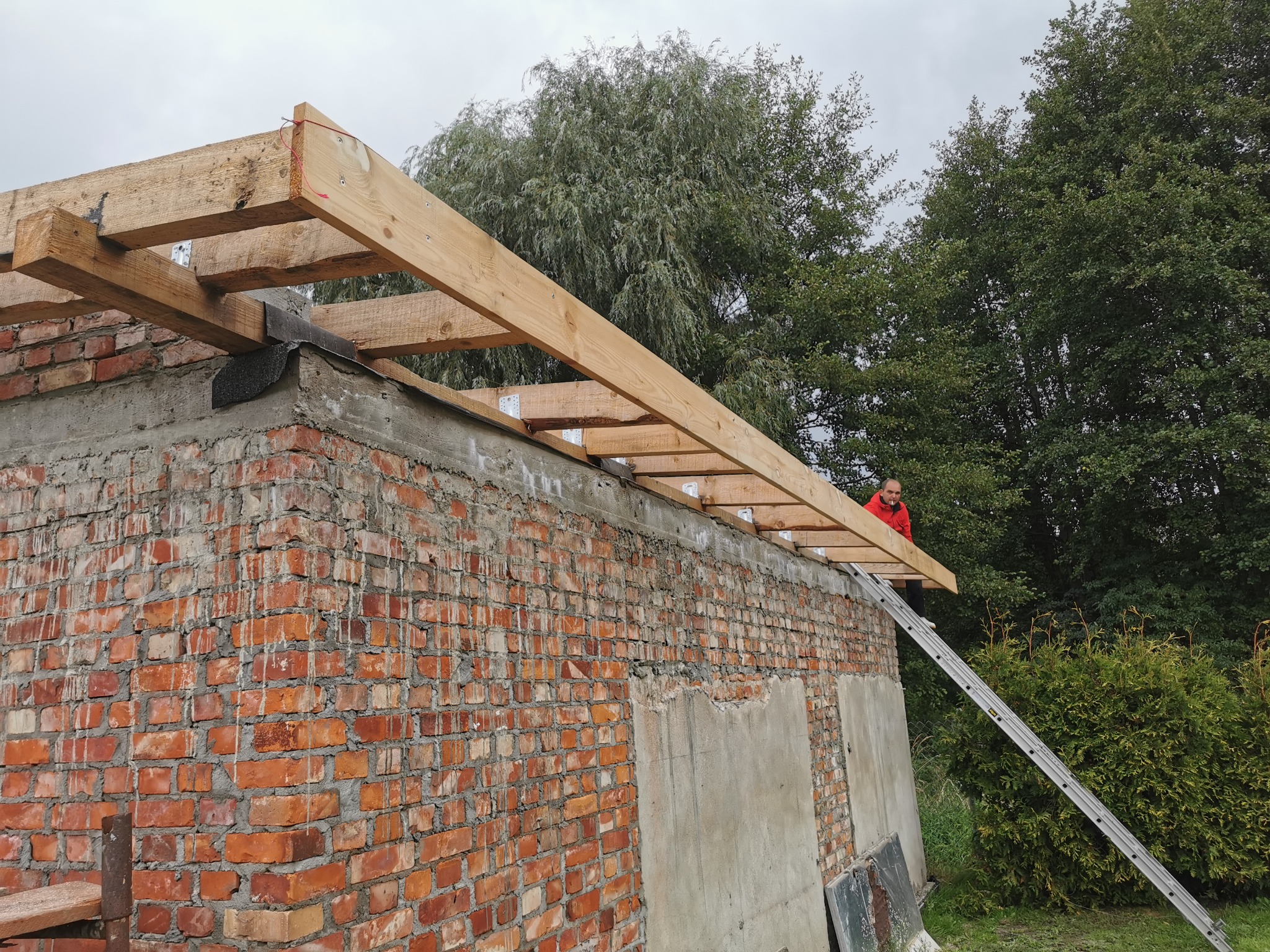 Konstrukcja drewniana więźby dachowej na murowanym budynku gospodarczym, widoczny pracownik na drabinie w czerwonej kurtce, tło stanowią drzewa i pochmurne niebo.