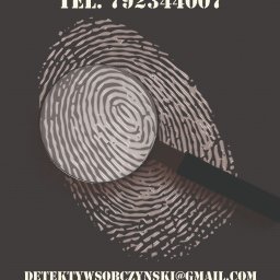 Detektyw Skarbimierz Osiedle 2