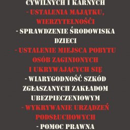 Detektyw Skarbimierz Osiedle 1