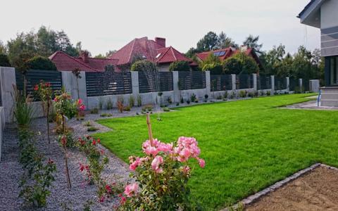 Zadbany trawnik z systemem nawadniania, rabaty z różami i nowoczesne ogrodzenie panelowe z betonowymi słupkami w przydomowym ogrodzie.