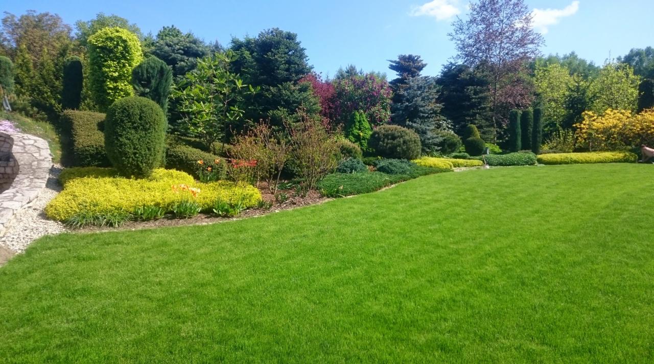 Zadbany ogród z równo przystrzyżonym trawnikiem, formowanymi krzewami i rabatami kwiatowymi, widok na kamienny murek w tle.