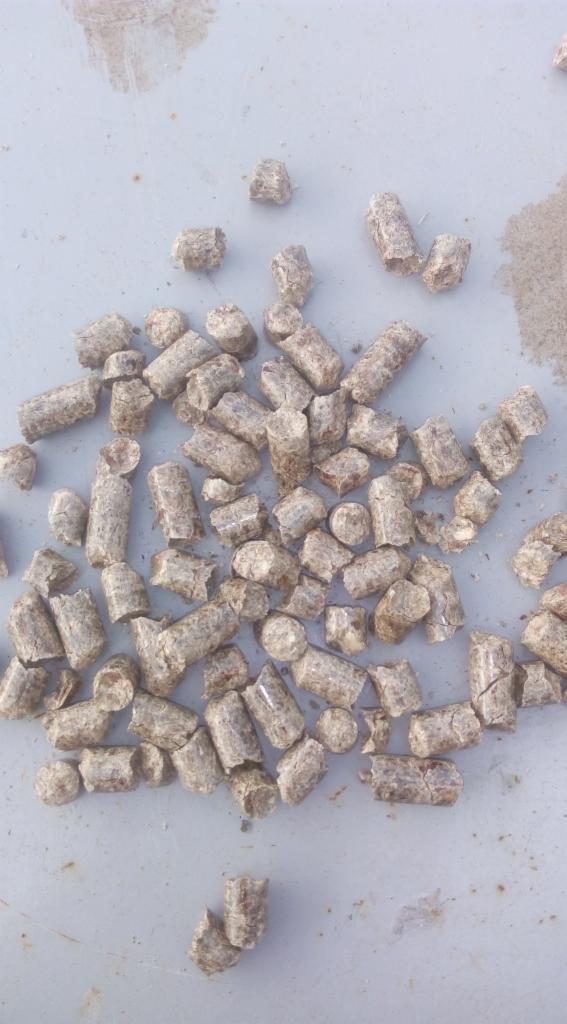 Jasnobrązowe granulki pelletu drzewnego rozsypane na szarej, lekko zabrudzonej powierzchni.