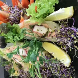 Delikatne roladki z łososia, kraba i pesto, udekorowane świeżymi sałatami, kiełkami i cząstkami cytryny, podane na czarnym talerzu.