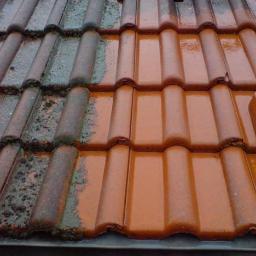 mycie dachu w Bytowie
