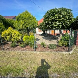 N&M Group Spółka z Ograniczoną Odpowiedzialnością - Uporządkowany ogród z różnorodnymi drzewami i krzewami, oddzielony siatką. Widoczny cień osoby robiącej zdjęcie, dodający osobistego charakteru. Niebo błękitne, słoneczny dzień.