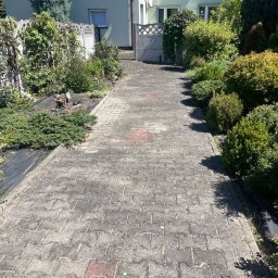 N&M Group Spółka z Ograniczoną Odpowiedzialnością - Ułożona kostka brukowa prowadząca do furtki, z widocznymi nasadzeniami po bokach i fragmentem domu w tle. Ciemna folia szkółkarska przy roślinach.