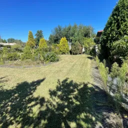 Zadbany trawnik z równo skoszoną trawą, otoczony różnorodną roślinnością ozdobną i drzewami iglastymi w słoneczny dzień. Cień drzew na trawie.