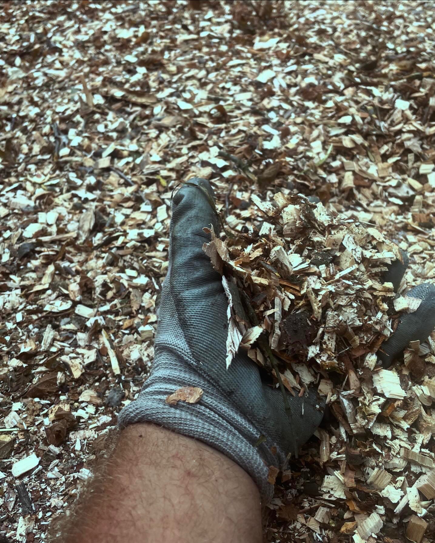 Dłoń w roboczej rękawicy trzymająca świeże zrębki drzewne na tle rozdrobnionego drewna.