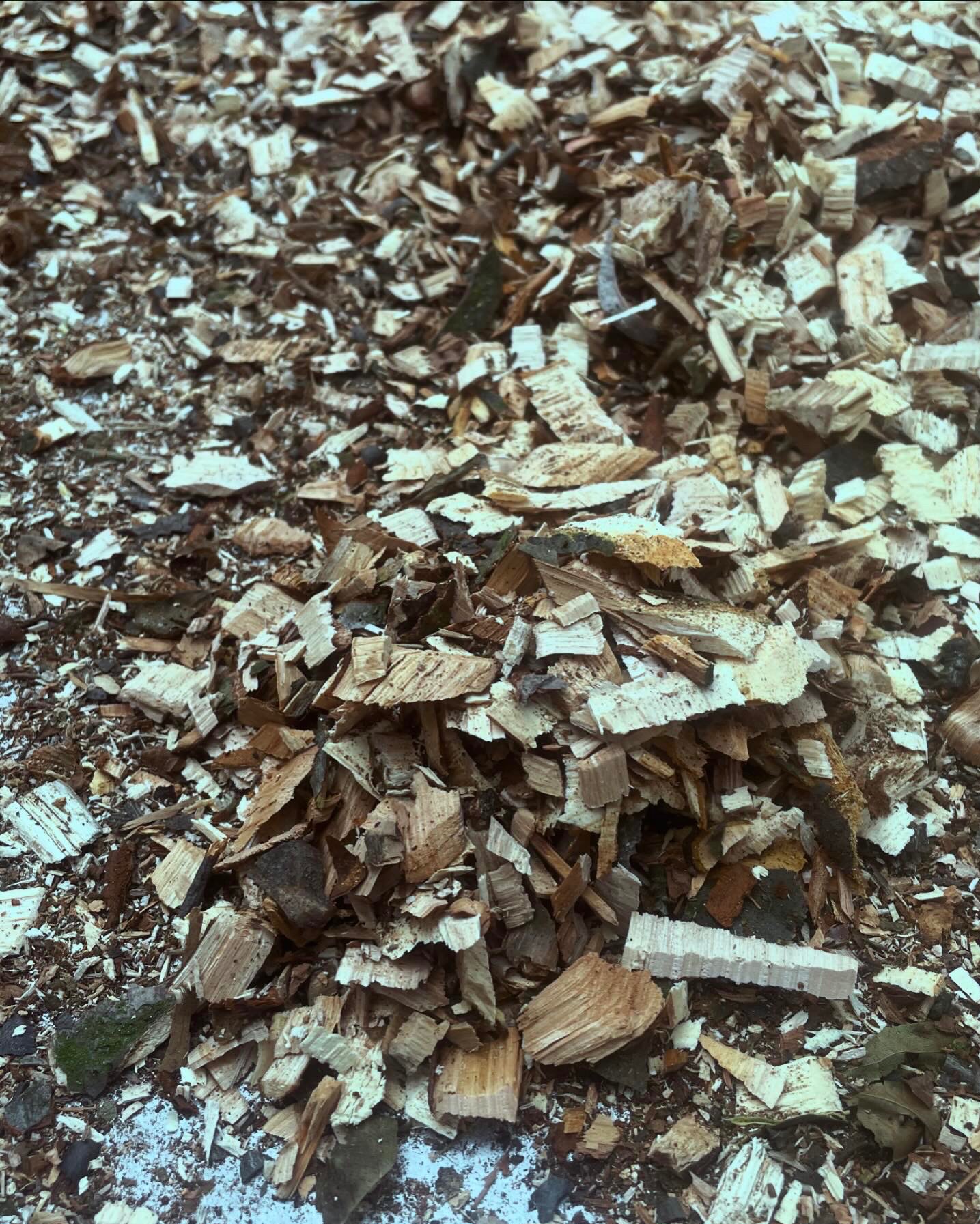 Stos świeżych, jasnych zrębków drzewnych z widocznymi fragmentami kory i drobnymi gałązkami, leżących na ziemi.