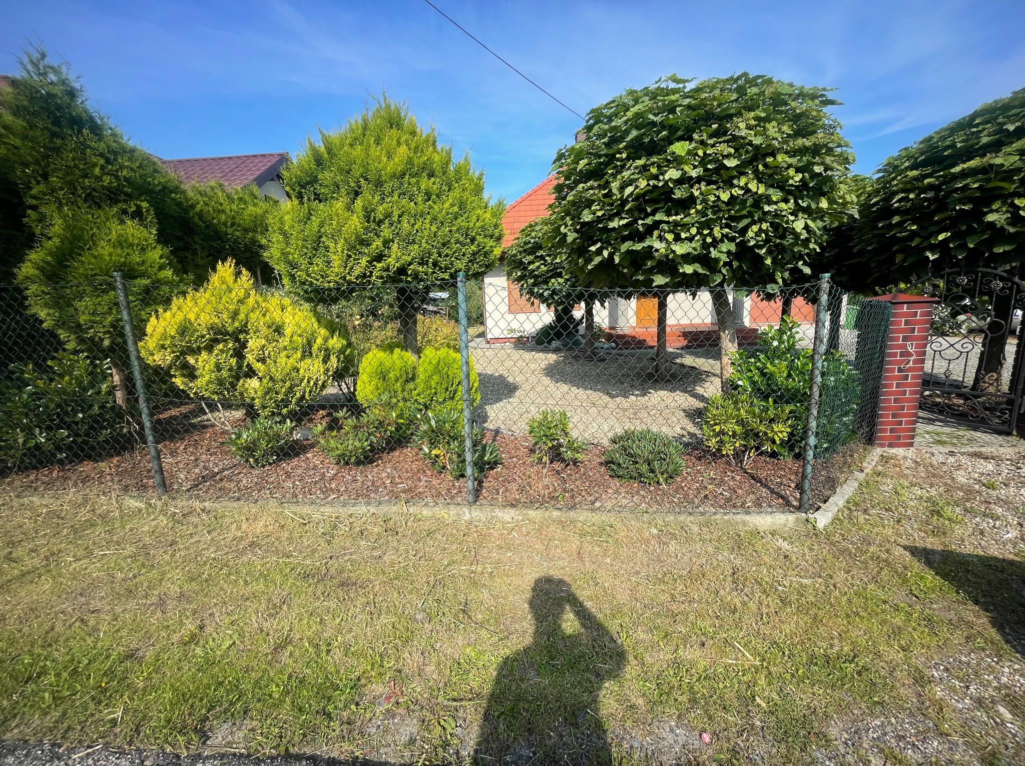 Uporządkowany ogród z różnorodnymi drzewami i krzewami, oddzielony siatką. Widoczny cień osoby robiącej zdjęcie, dodający osobistego charakteru. Niebo błękitne, słoneczny dzień.