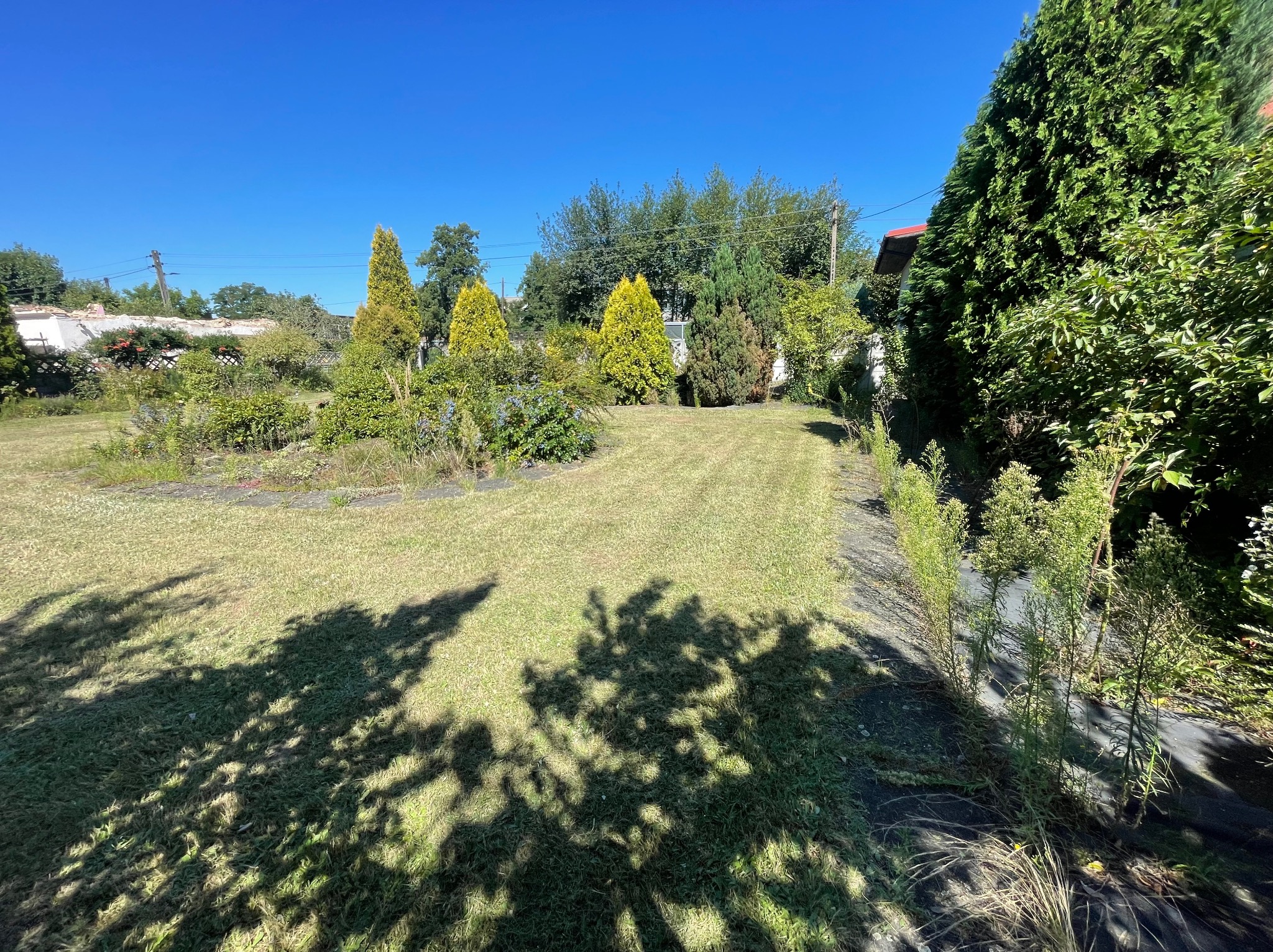 Zadbany trawnik z równo skoszoną trawą, otoczony różnorodną roślinnością ozdobną i drzewami iglastymi w słoneczny dzień. Cień drzew na trawie.