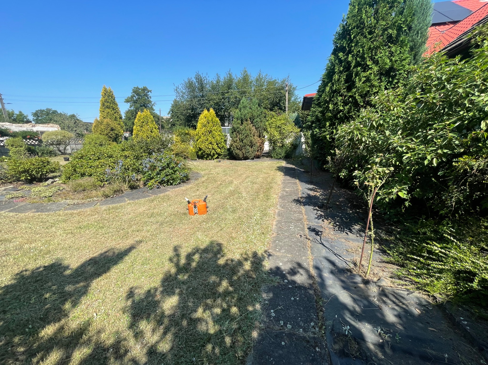 Zaniedbany trawnik z pomarańczowym urządzeniem do nawadniania, otoczony różnorodną roślinnością i ścieżką z płyt. Słoneczny dzień, błękitne niebo.