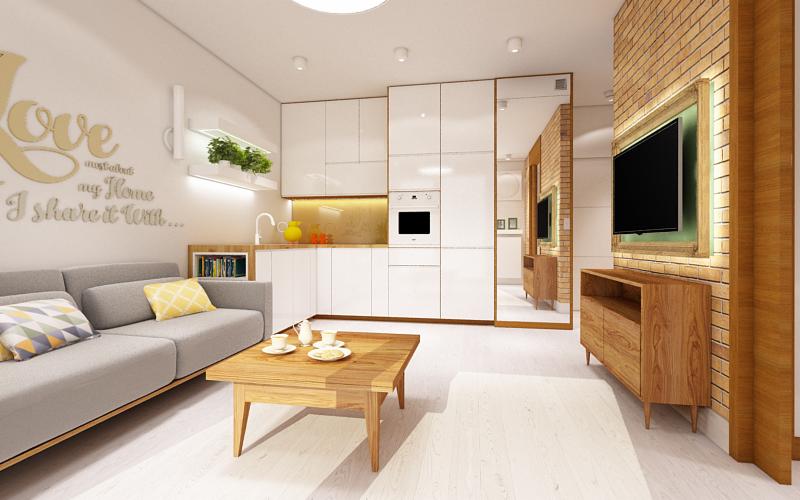 projekt kawalerki - salon z kuchnią