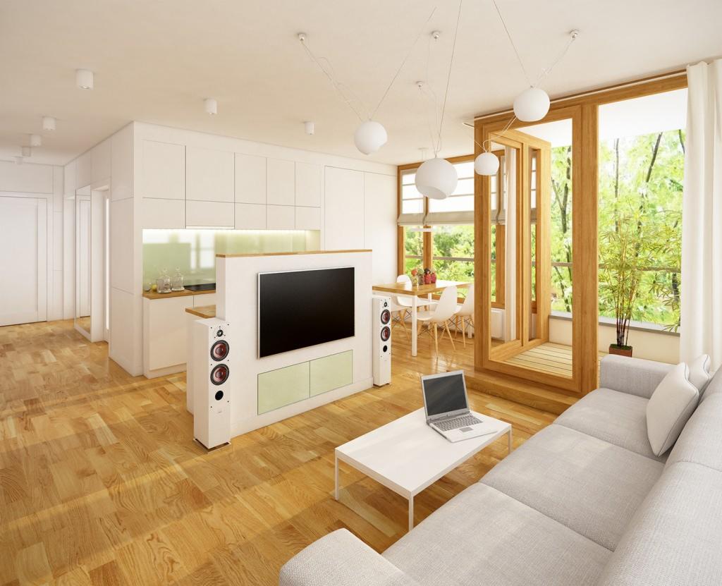 projekt salonu z kuchnią