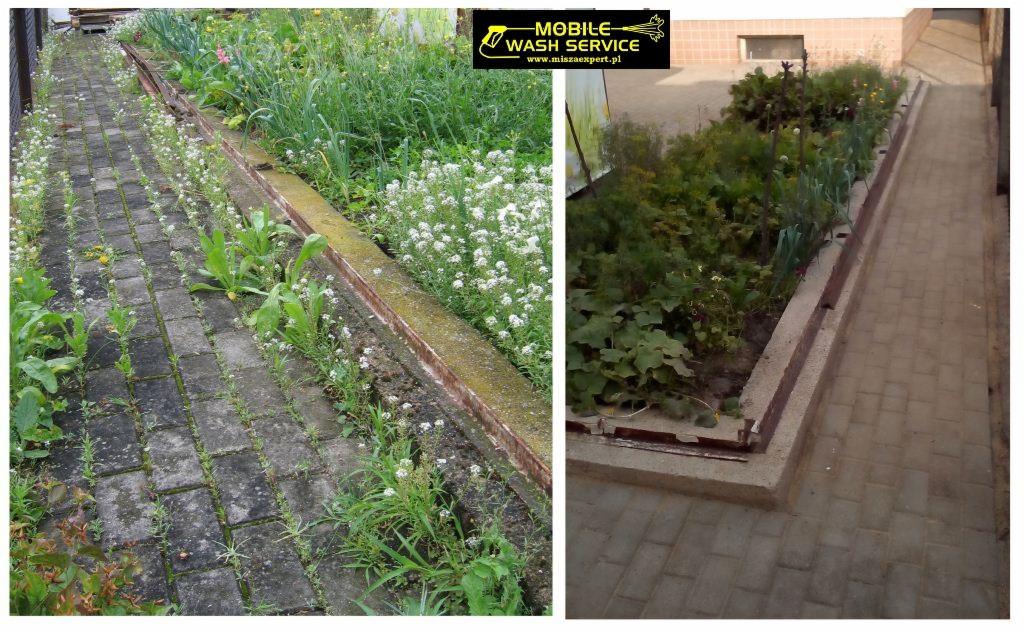 Porównanie stanu chodnika z kostki brukowej przed i po czyszczeniu, z widocznymi chwastami pomiędzy kostkami po lewej stronie i czystą powierzchnią po prawej stronie.