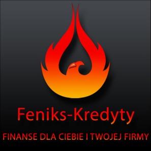 Logo firmy Fenix-Kredyty: płomień z wizerunkiem feniksa w odcieniach czerwieni i pomarańczy na ciemnoszarym tle, pod spodem nazwa firmy w czerwonej czcionce oraz slogan 'FINANSE DLA CIEBIE I TWOJEJ...
