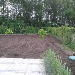 Przygotowany teren pod trawnik z posadzonymi młodymi drzewkami, widoczne ślady po maszynach, w tle żywopłot i drzewa, z przodu kostka brukowa i trawa ozdobna, po prawej stronie studzienka...