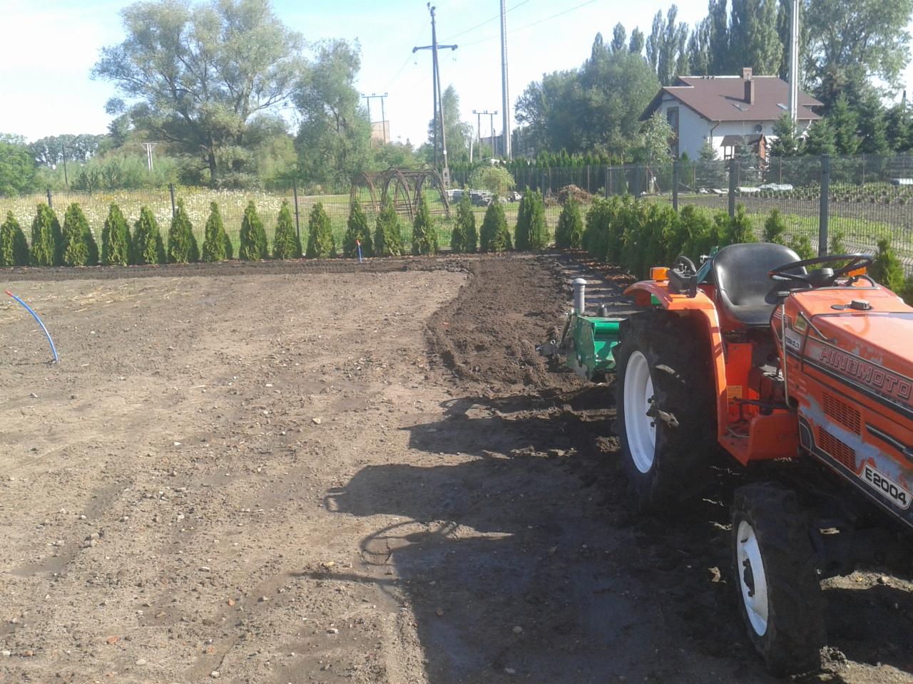 Pomarańczowy traktor Hinomoto E2004 z glebogryzarką przygotowuje ziemię pod uprawę, widok z boku, rząd tuj w tle.