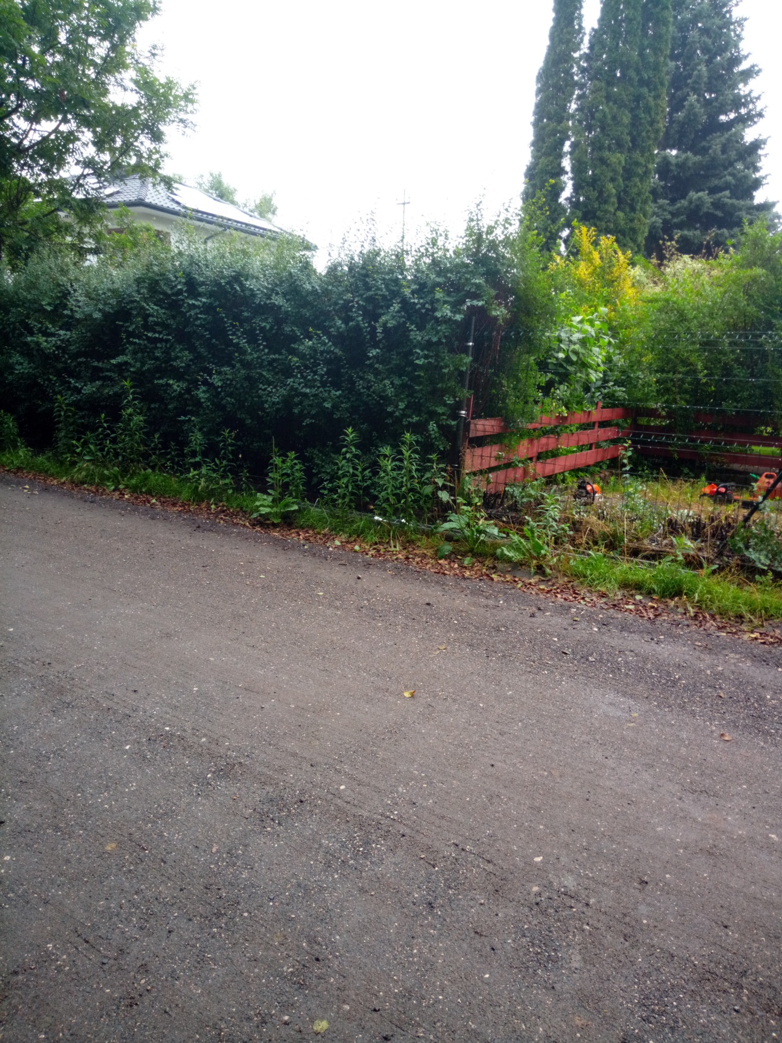 Widok z poziomu ulicy na gęsty żywopłot i czerwone, drewniane ogrodzenie. Za ogrodzeniem widoczne narzędzia ogrodnicze i ścięte gałęzie. W tle dom z panelami słonecznymi i wysokie drzewa.