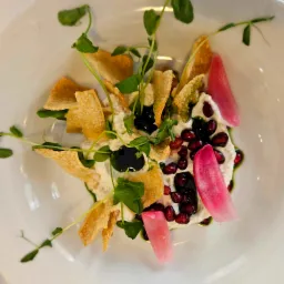 Wykwintna kompozycja na białym talerzu: kremowy serek z granatem, ciemnymi owocami, chrupiącymi kawałkami pieczywa i świeżymi pędami groszku, całość polana zielonym sosem.